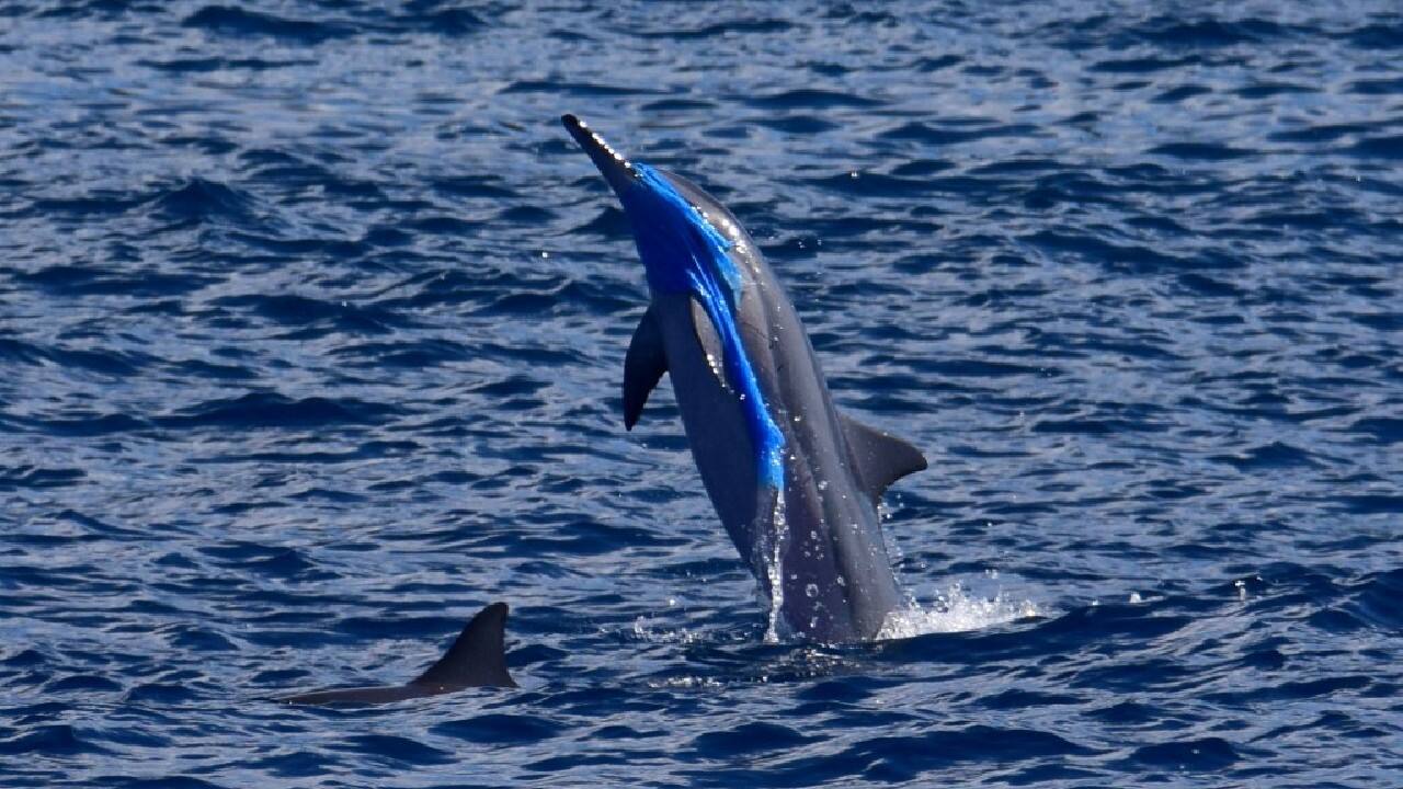 Regardless of how much effort is made during the production or waste management phase, production volumes need to come down, she stressed. &quot;This seems very obvious to say but it's only recently accepted as truth: The more you produce, the more you release&quot;. (Source: AFP)
