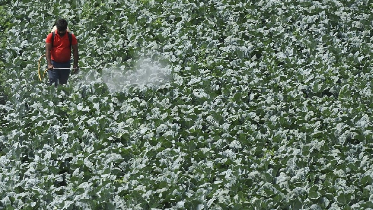 There are an estimated 3,50,000 different manufactured chemicals on the market and large volumes of them end up in the environment. &quot;The impacts that we're starting to see today are large enough to be impacting crucial functions of planet Earth and its systems&quot;, Bethanie Carney Almroth, co-author of a new study told AFP in an interview. (Source: AFP)