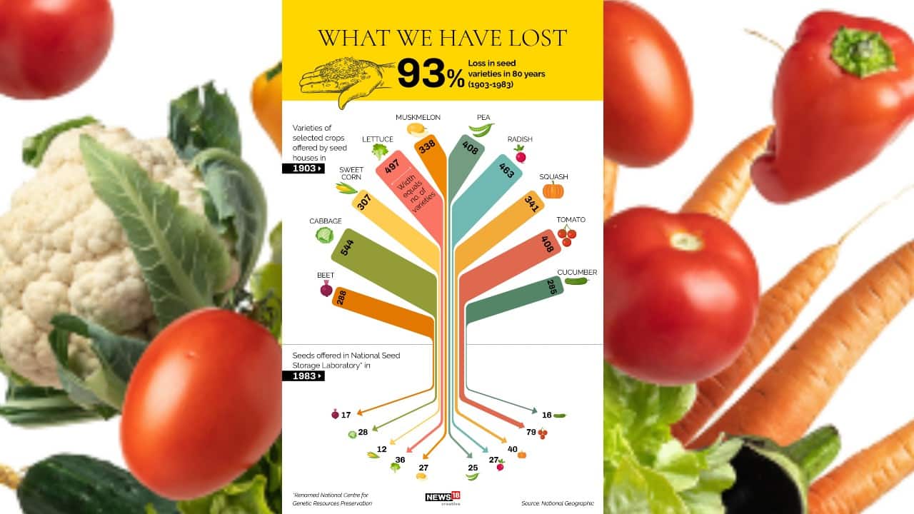 93 percent loss in seed varieties in 80 years. (Image: News18 Creative)