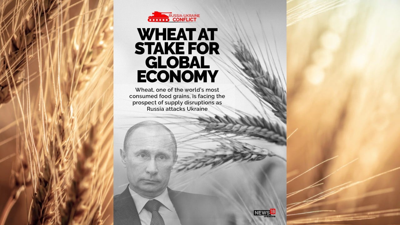 A look at how RussiaUkraine crisis may impact wheat prices