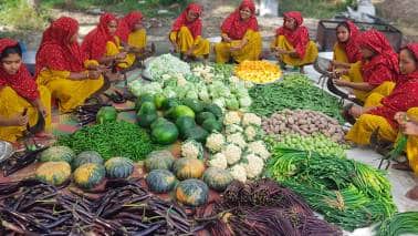 Food prices are falling. Why is there still a hunger crisis?