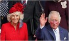Queen Camilla’s plane damaged in bird hit while returning from India