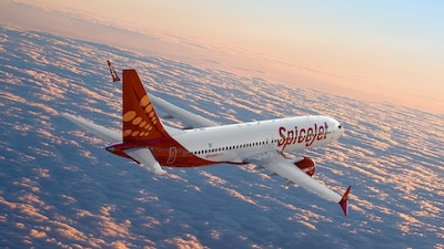 SpiceJet share price