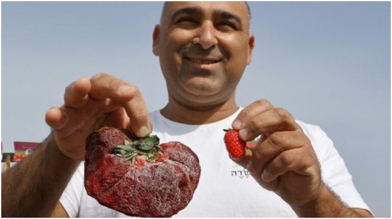 World S Heaviest Strawberry An Absolute Monster See Pics