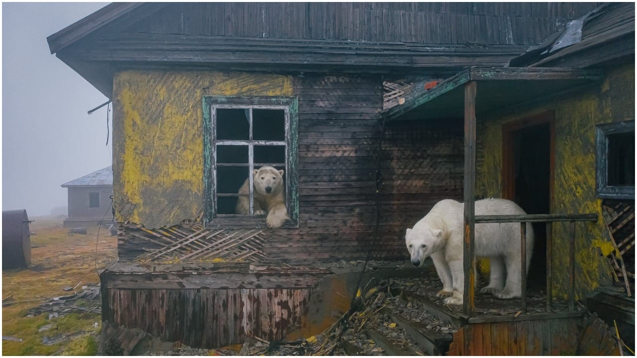 Global financial markets show signs of renewed stress