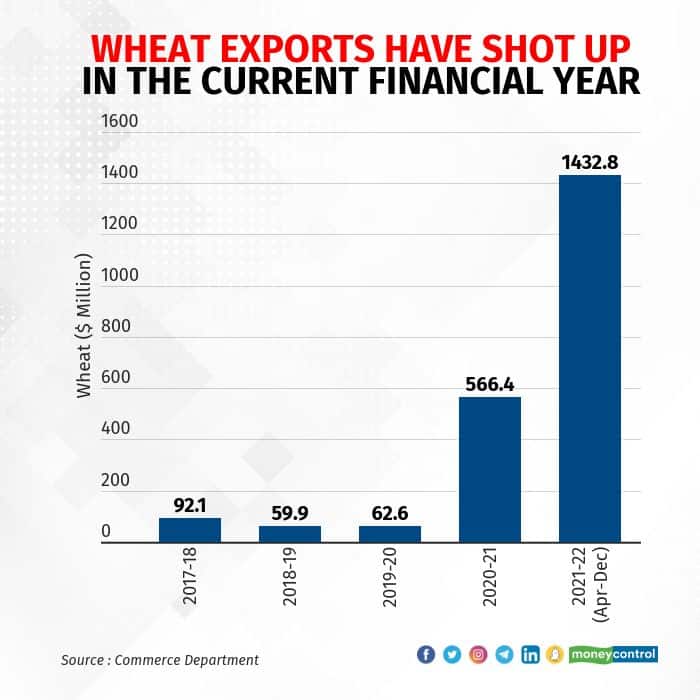 Wheat exports have continued to rise fast