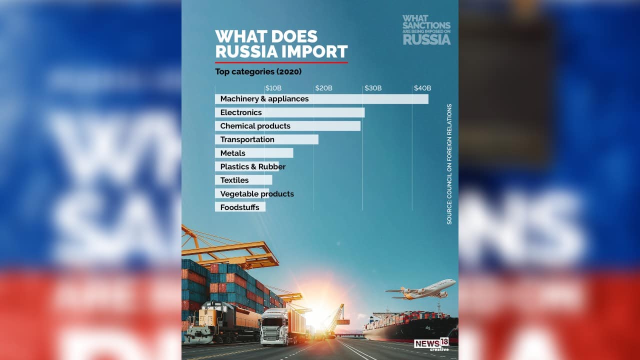 A look at what Russia import. (Image: News18 Creative)