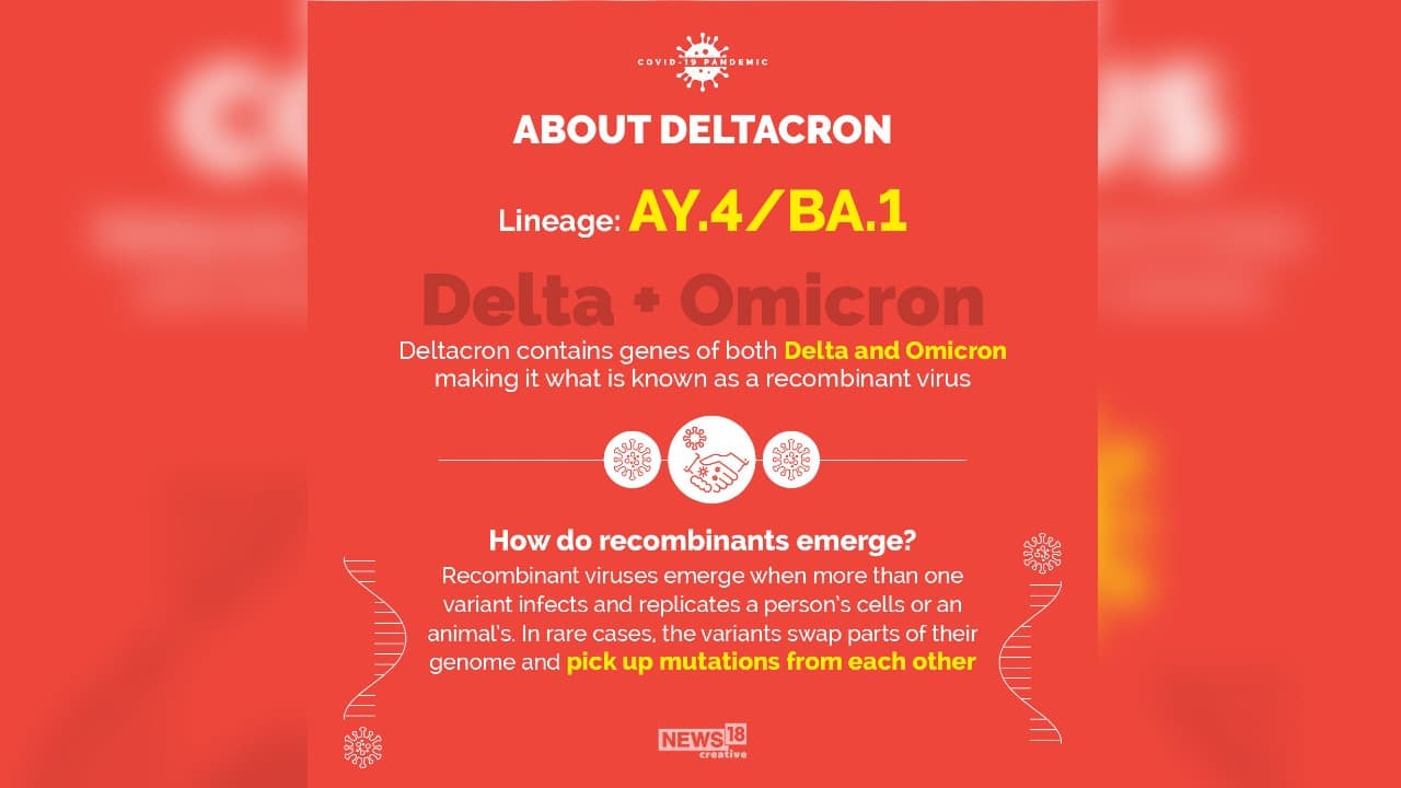 Deltacron contains genes of both Delta and Omicron making it what is known as a recombinant virus. (Image: News18 Creative)