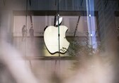Apple announces partnership for protection, conservation of mangroves in Maharashtra