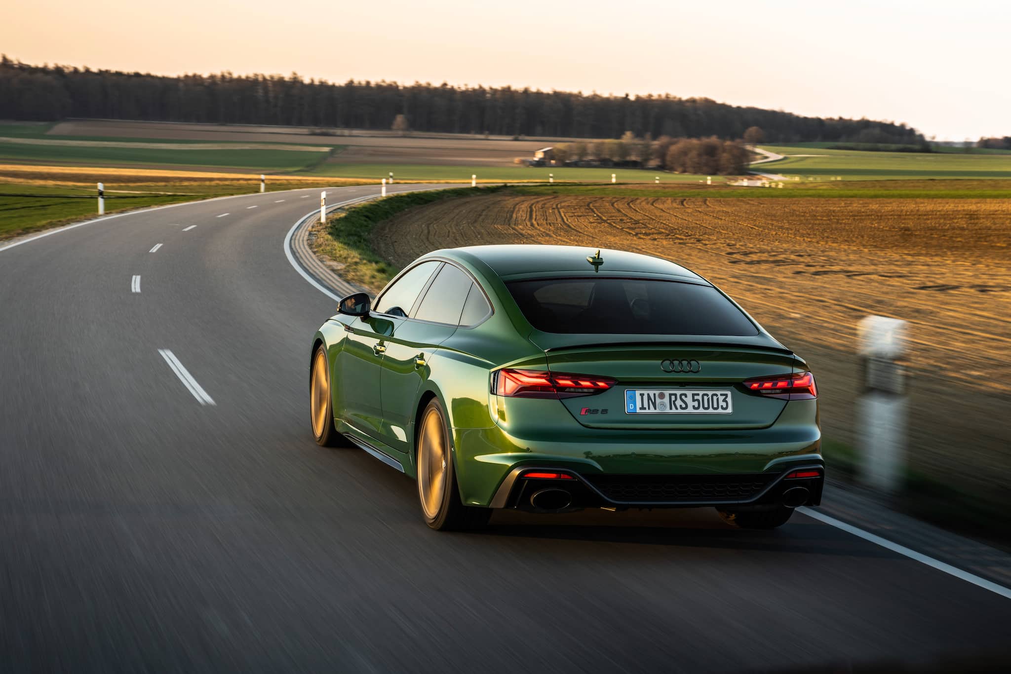 Dynamic photo, Colour: Sonoma green