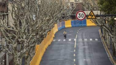 The lesson humble sea urchins offer about economic resilience