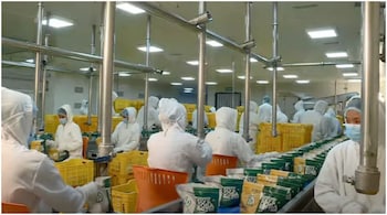 World Idli Day: iD Fresh Food is live-streaming its batter-making process from its Bengaluru factory. (Image credit: Screengrab from YouTube video by iD Fresh Food)