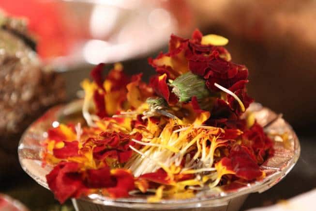 Marigold's earthy, slightly bitter flavour lends itself to many dishes. (Photo: Rahul Setia/Unsplash)
