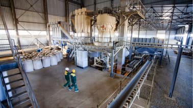 Budget Snapshot: Tight DAP market unlikely to upset government’s fertiliser subsidy calculations Budget Snapshot: Tight DAP market unlikely to upset government’s fertiliser subsidy calculations