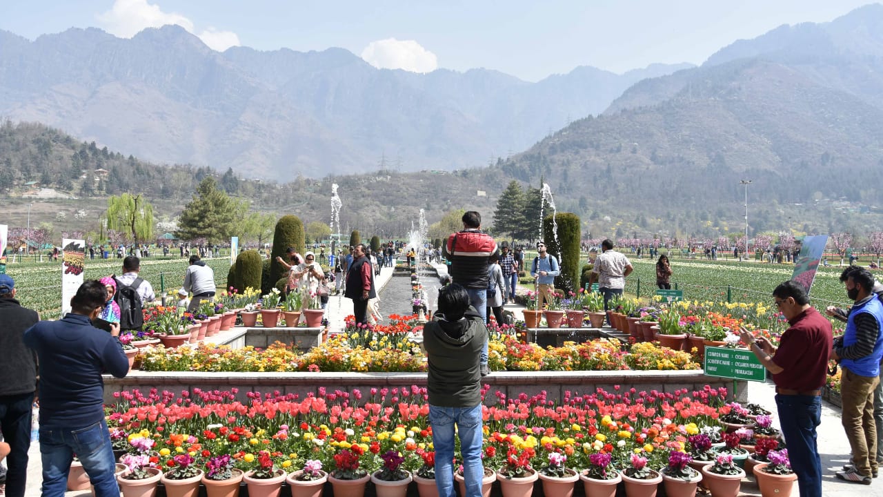 There are around 64 different varieties and 15 lakh bulbs showcased over over 30 hectares. In addition to tulips, the gardens feature daffodils, hyacinths and muscari. (Photo: Irfan Amin Malik)