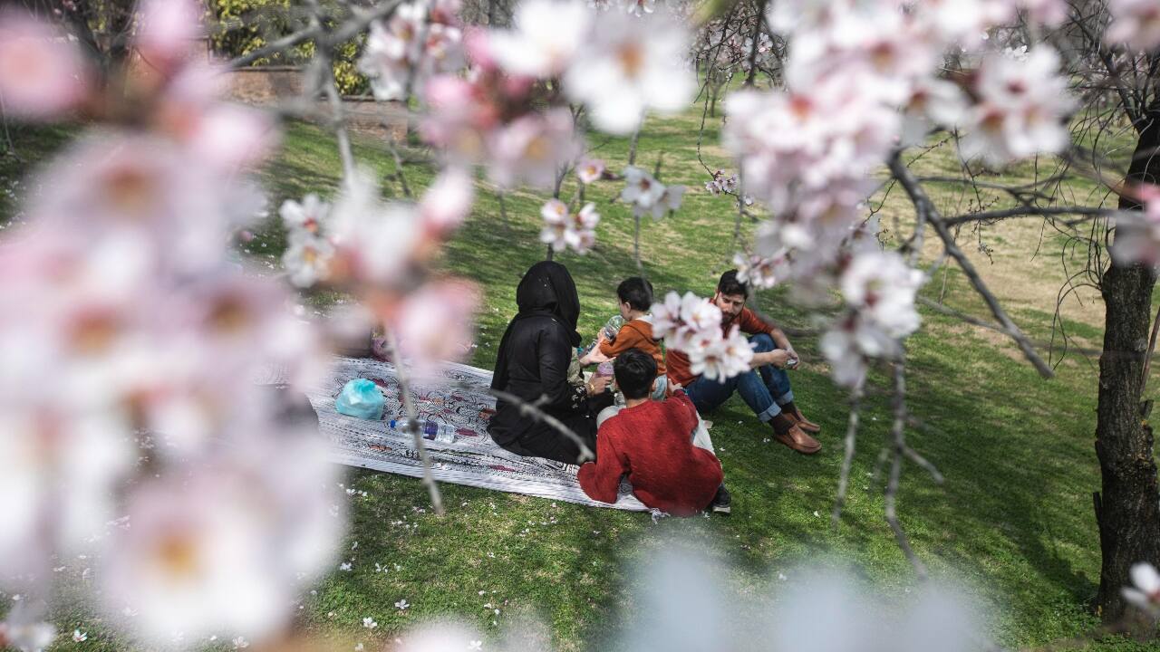 Spring is here: Srinagar's Badamwari is bustling with tourists again