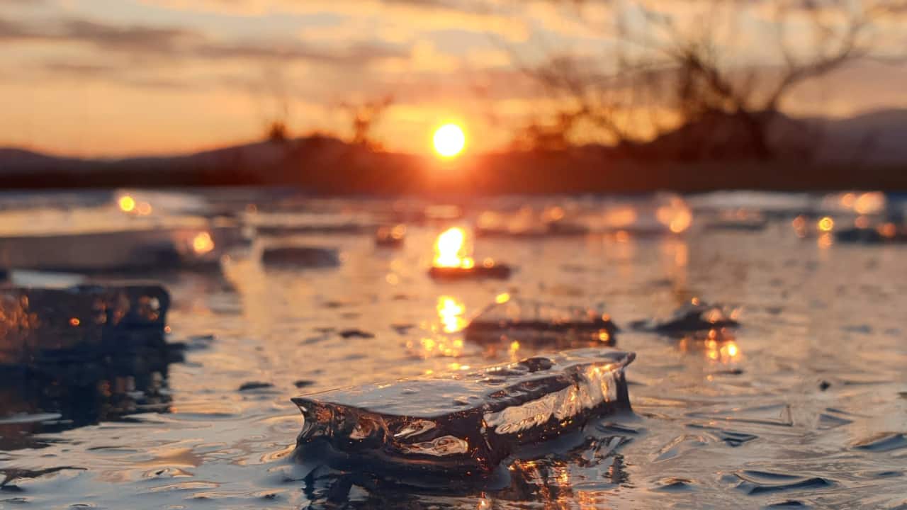 The climate change pandemic