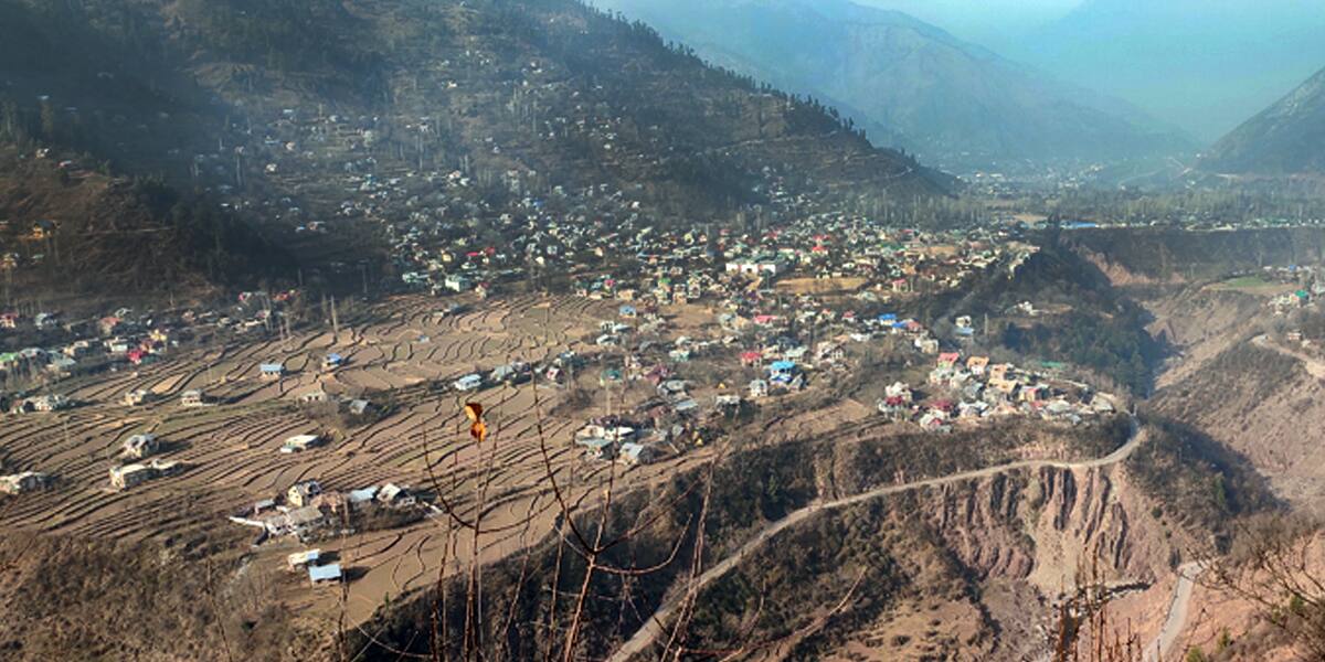 Guns ‘n’ Walnuts: As India-Pak ceasefire completes one year, business back on track in J&K