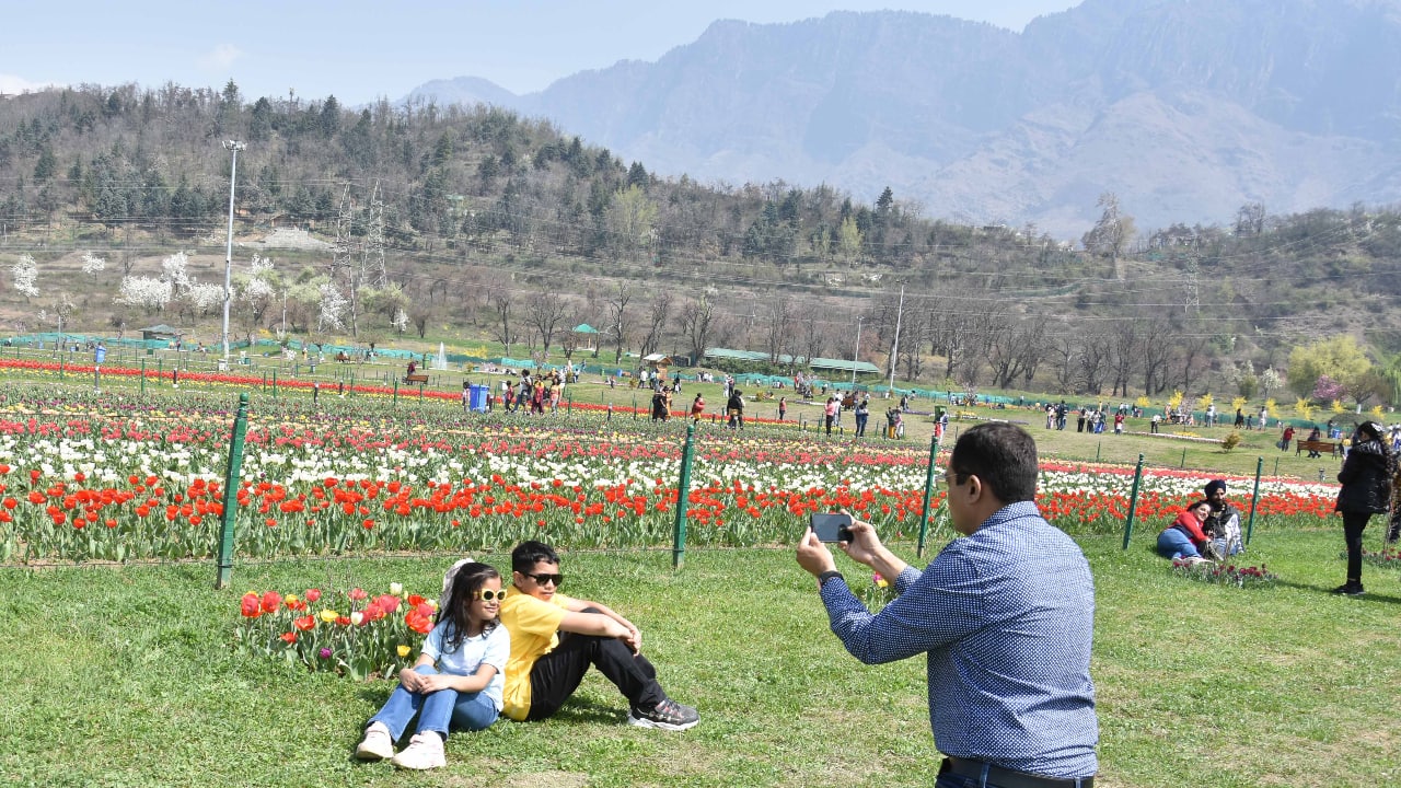 Despite the lockdown, more than 2.3 lakh tourists visited the Tulip Garden in Srinagar last year. The tulip garden is cultivated over months by more than 50 gardeners for the Tulip Festival, organised annually at the onset of spring in Srinagar. (Photo: Irfan Amin Malik)