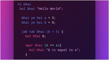 'Bhai Lang' is a toy programming language written in Typescript. (Image: Crepidomic/Twitter)