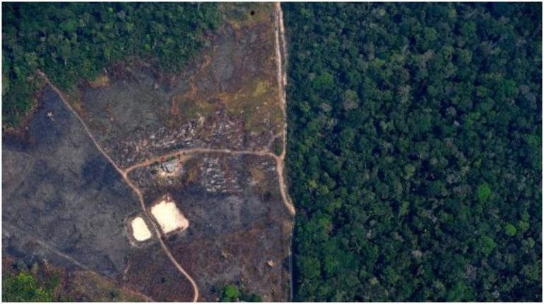 Human activity degraded more than a third of remaining Amazon forest: Study Human activity degraded more than a third of remaining Amazon forest: Study