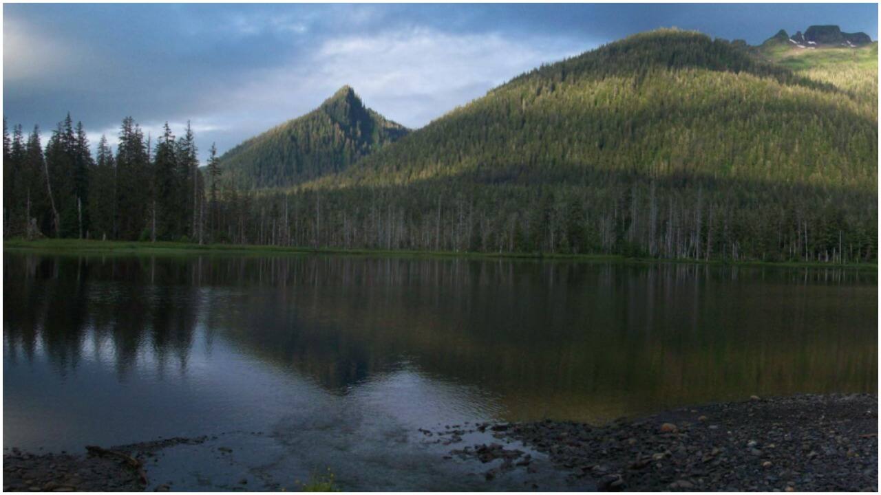 Image credit: (US Department of Agriculture and Forest Service)