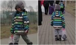 Video: Ukranian boy walks to Poland border alone, with a toy in hand, crying Video: Ukranian boy walks to Poland border alone, with a toy in hand, crying