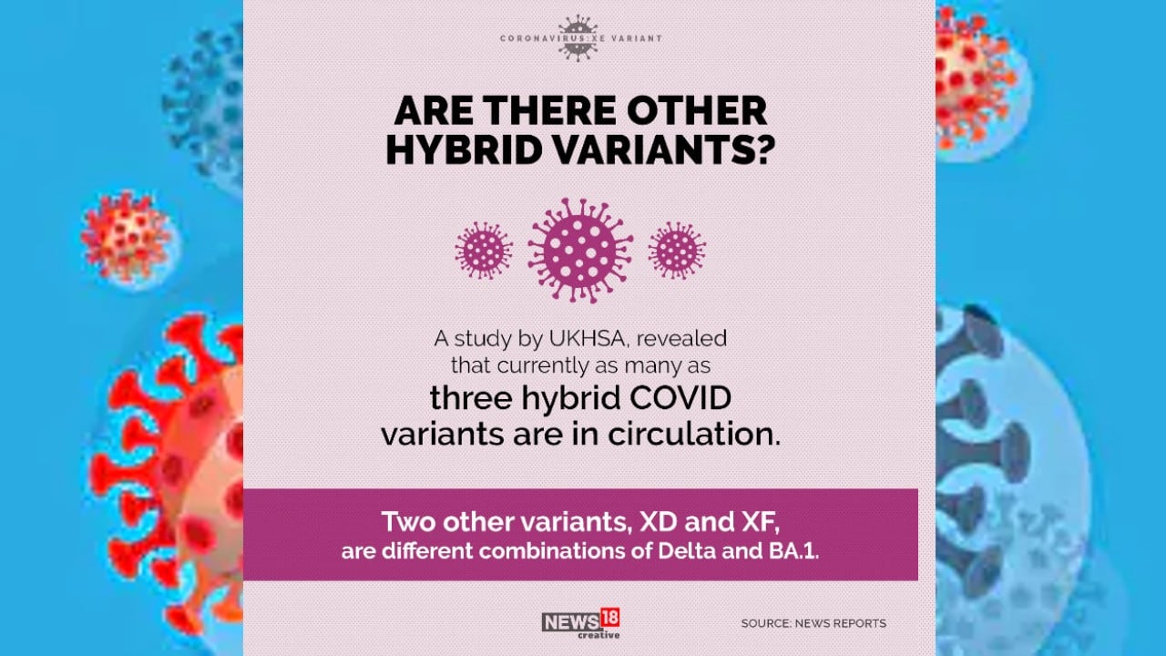 A study by UKHSA revealed that currently as many as three hybrid COVID variants are in circulation. (Image: News18 Creative) A study by UKHSA revealed that currently as many as three hybrid COVID variants are in circulation. (Image: News18 Creative)