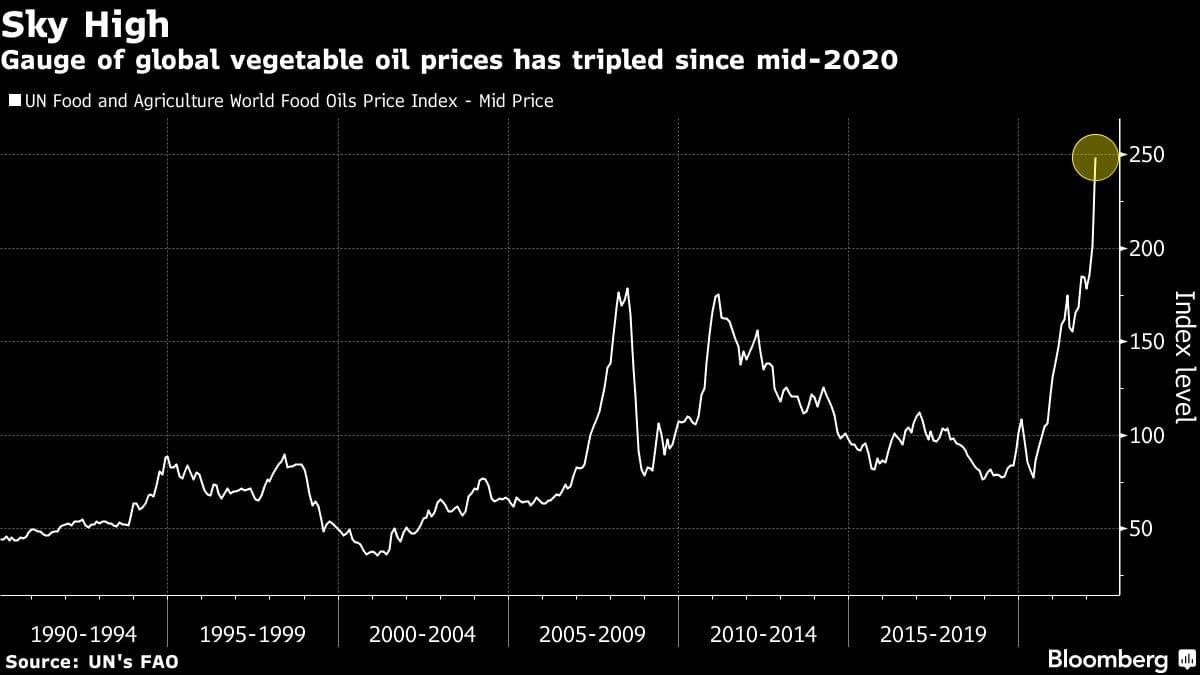 Gauge of global vegetable oil prices has tripled since mid-2020 (Graphic Source: Bloomberg)