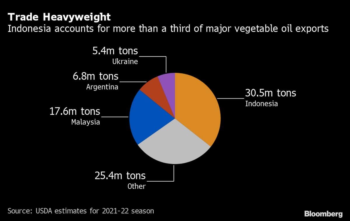 Indonesia accounts for more than a third of major vegetable oil exports (Graphic Source: Bloomberg)