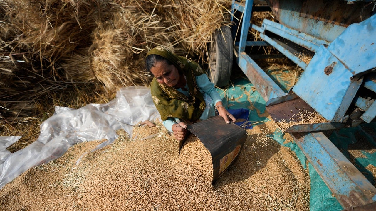 From cereals to poultry, many countries ban food exports From cereals to poultry, many countries ban food exports