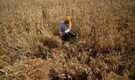Higher temperatures & El Nino a worry for agriculture