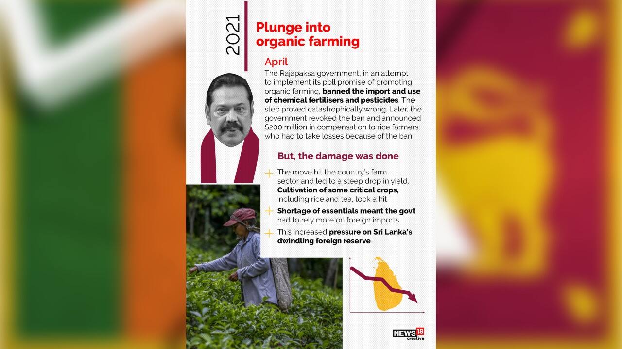 In April 2021, the Rajapaksa government, in an attempt to implement its poll promise of promoting organic farming, banned the import and use of chemical fertilizers and pesticides. The step proved catastrophically wrong. (Image: News18 Creative)