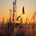 India’s crude oil production slumps 5.1% in Feb; import bill shoots up