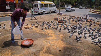 Already this year, India has recorded its warmest March since 1901. (Image: AP)