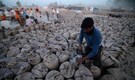 World crop trade eyes India as new government may relax curbs