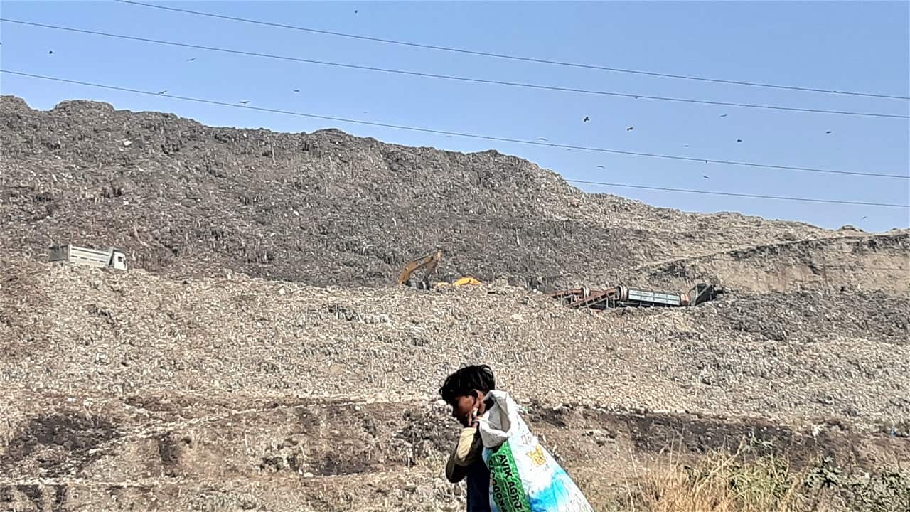 A ragpicker at the dump