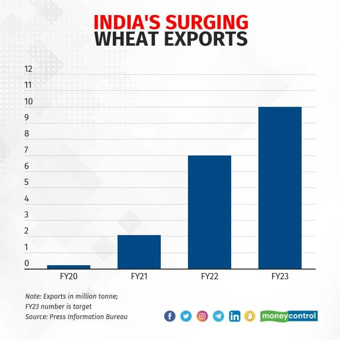 The Hard Grind: Wheat inflation becoming hard to stomach for Indian ...