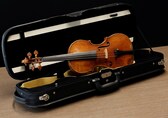Sound of money: Rare violin valued at $10 million in auction