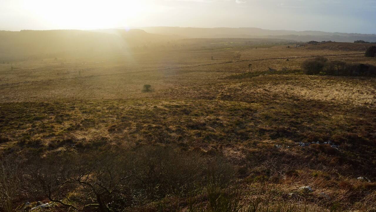 Purchase, sale of land with infrastructure attracts GST: Madhya Pradesh authority