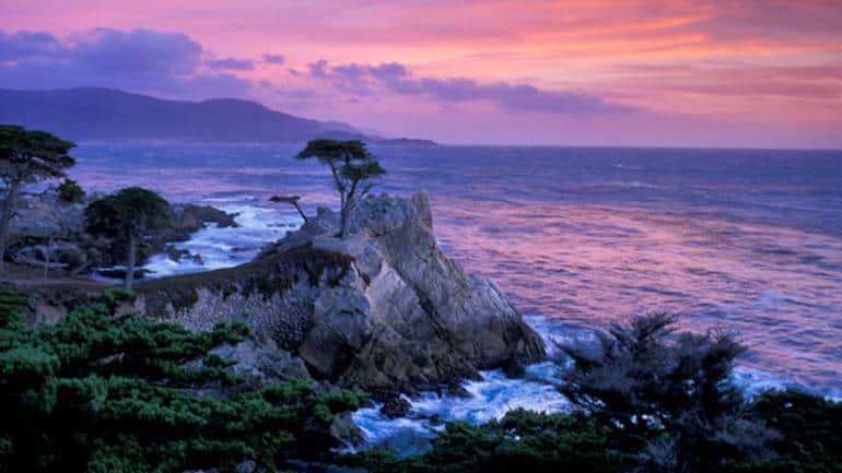 Lone Cypress,17-mile drive. (Image courtesy Visit California)