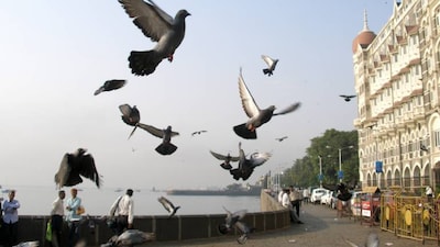 Bombay: From Portugal to Britain as dowry