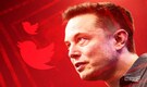 Elon Musk aka 'Naughtius Maximus' claims his tweets are being 'suppressed'