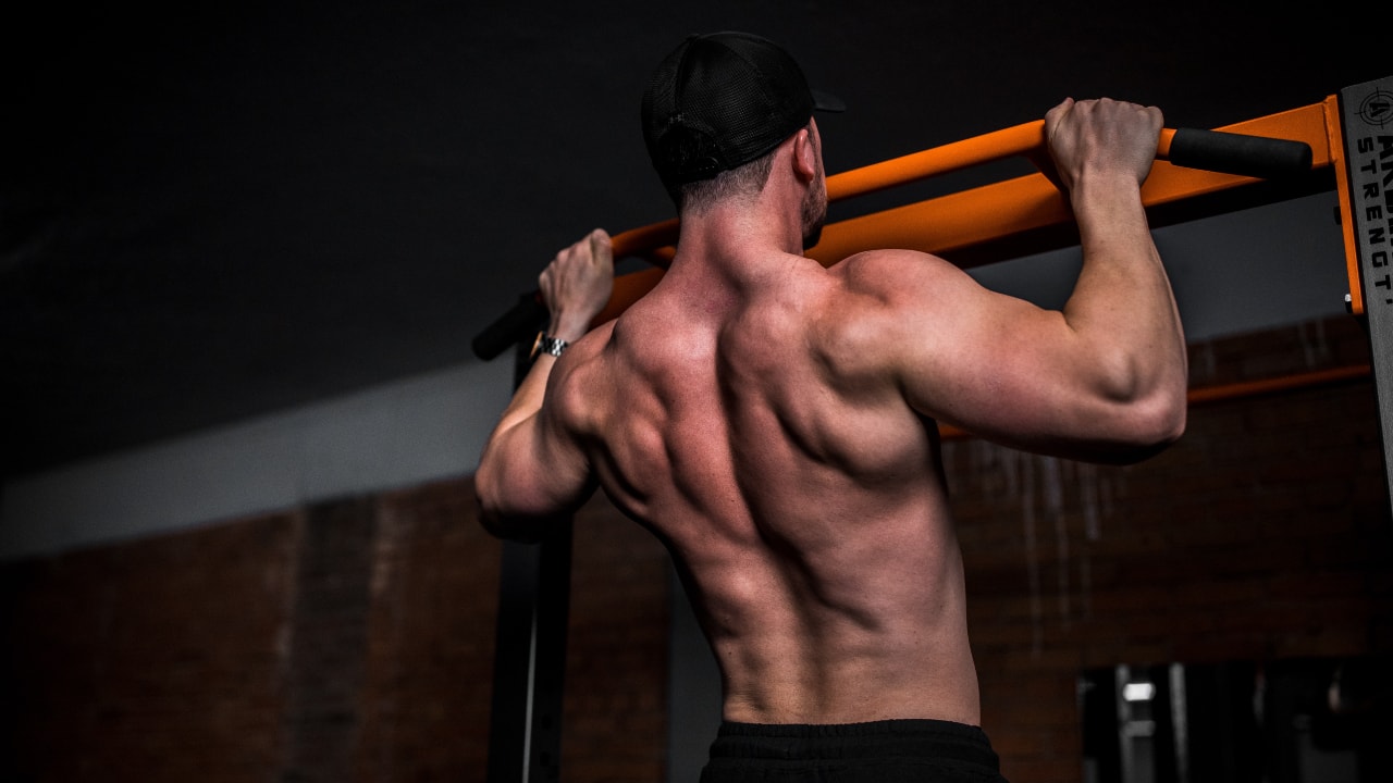 Fitness planner | Pull-ups: how to do, benefits and who can do them