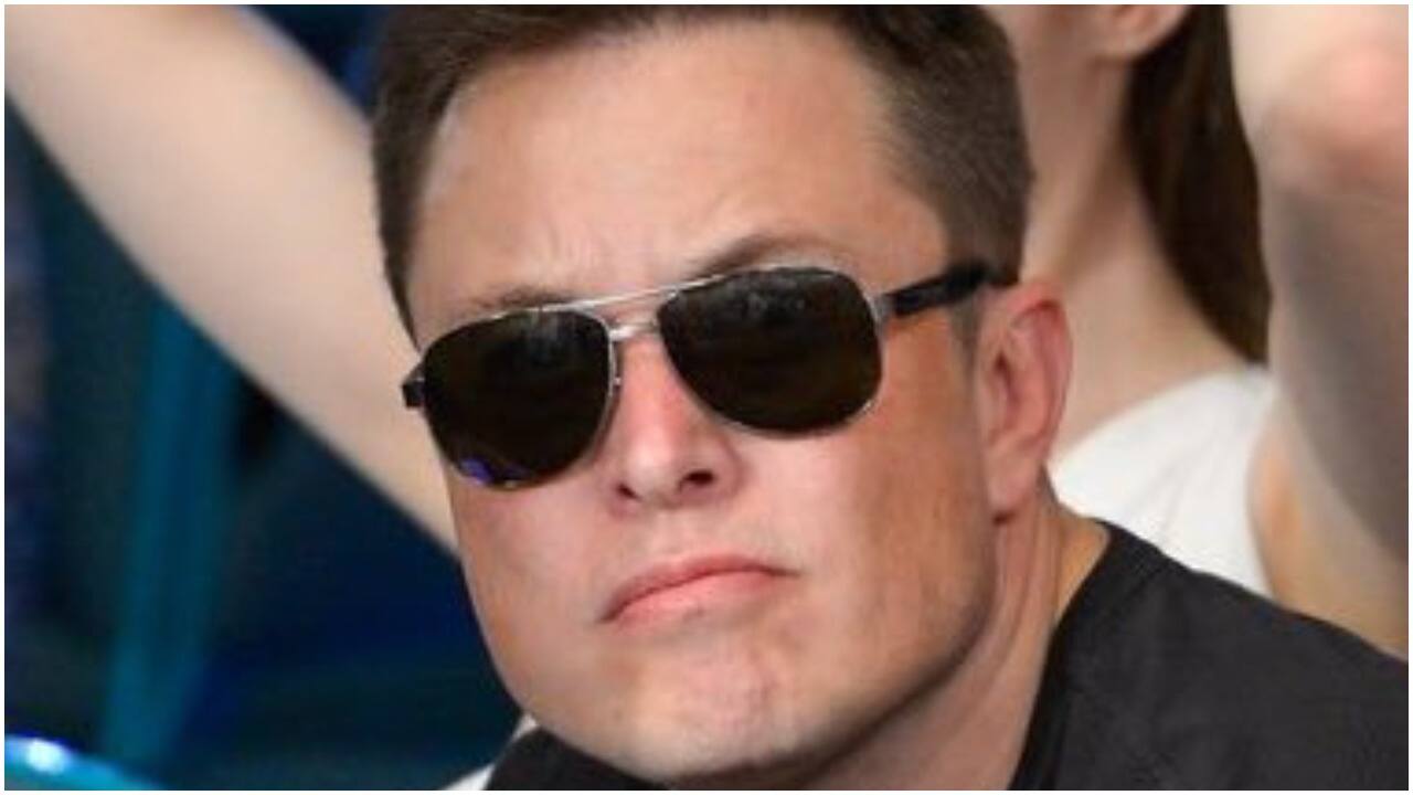 Elon Musk weighs in on how pandemic caused 'baby bust', instead of boom
