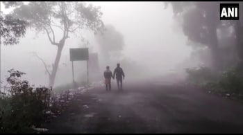 Representative Image (ANI)