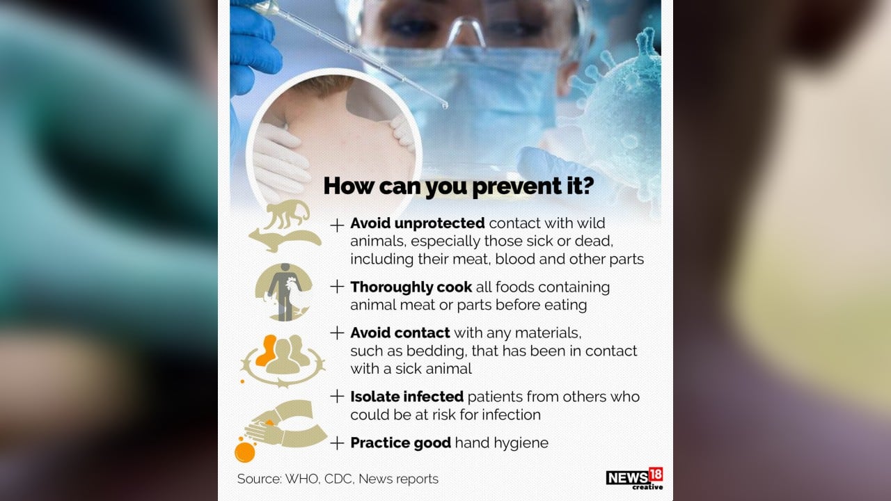 One can prevent themselves from moneypox infection by avoiding unprotected contact with wild animals, especially those sick or dead, including their meat, blood and other parts. (Image: News18 Creative)
