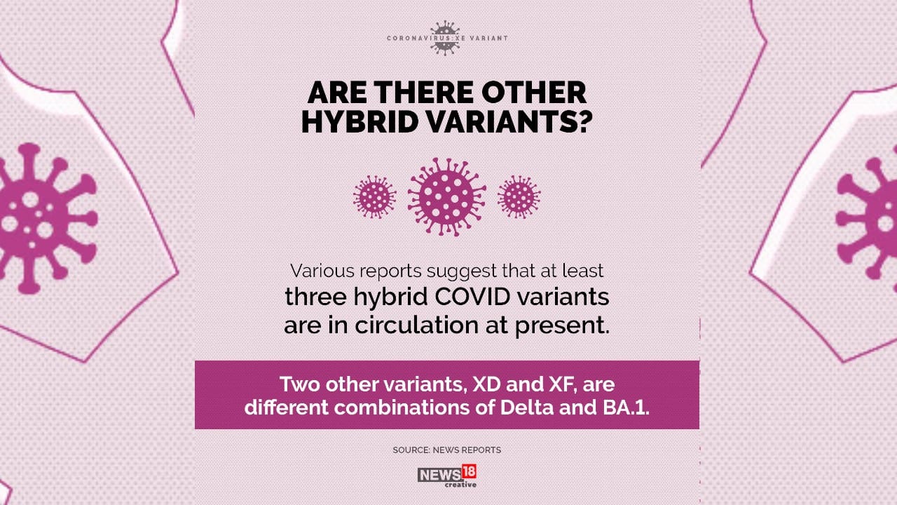 Various reports suggest that at least three hybrid COVID variants are in circulation at present.
