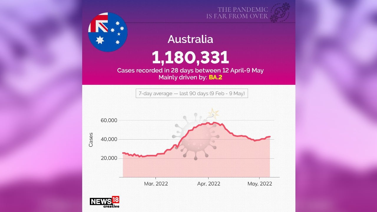 Australia reported 11,80,331 cases in 28 days from April 12-May 9, mainly driven by BA.2. (Image: News18 Creative) Australia reported 11,80,331 cases in 28 days from April 12-May 9, mainly driven by BA.2. (Image: News18 Creative)
