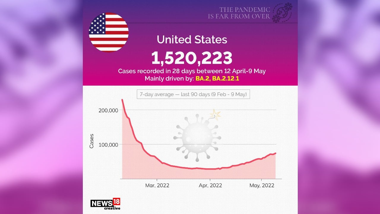 United States recorded 15,20,223 cases in 28 days during April 12-May 9, mainly driven by BA.2, BA.2.12.1. (Image: News18 Creative) United States recorded 15,20,223 cases in 28 days during April 12-May 9, mainly driven by BA.2, BA.2.12.1. (Image: News18 Creative)